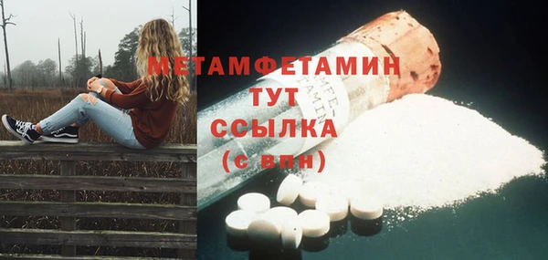шишки Верхний Тагил