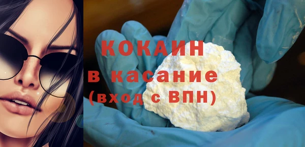 шишки Верхний Тагил