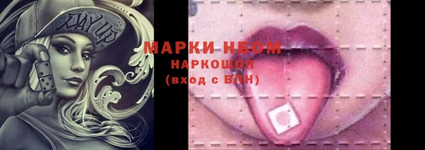 шишки Верхний Тагил