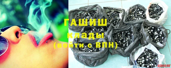 шишки Верхний Тагил