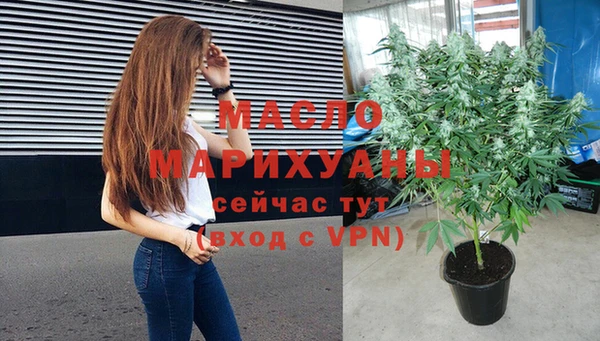 шишки Верхний Тагил