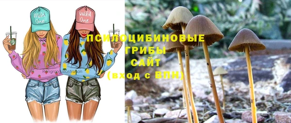 шишки Верхний Тагил