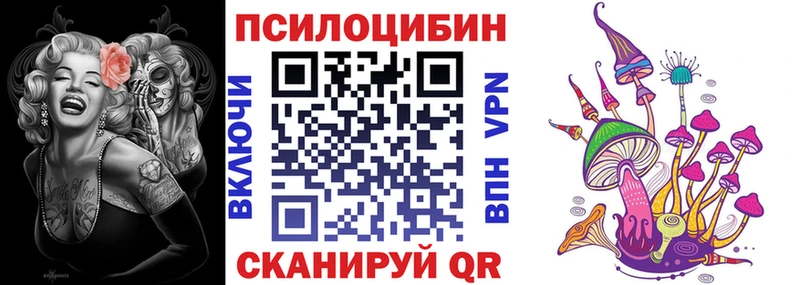 Галлюциногенные грибы Cubensis  Купить  Мурманск 